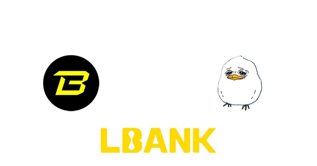 lbank 8
