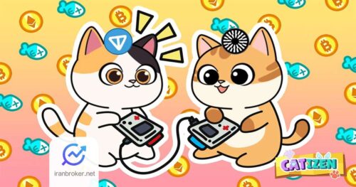 معرفی بازی کتیزن (Catizen) به همراه آموزش بازی