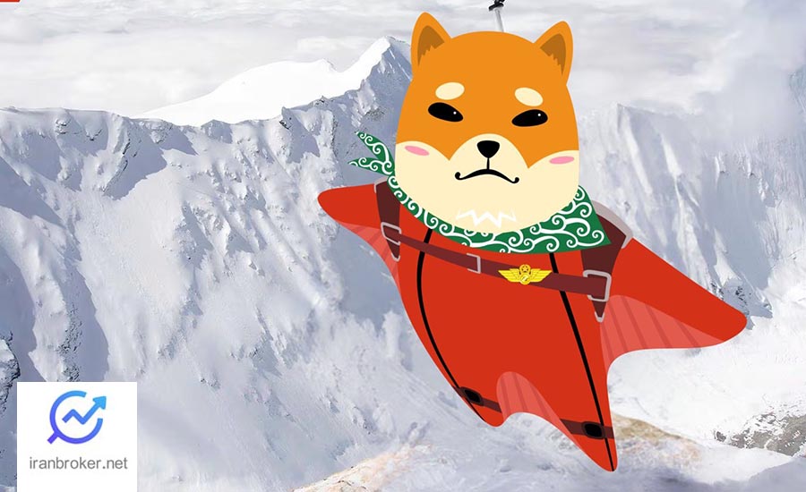 میم کوین جدید بیس داگز (Base Dawgz)
