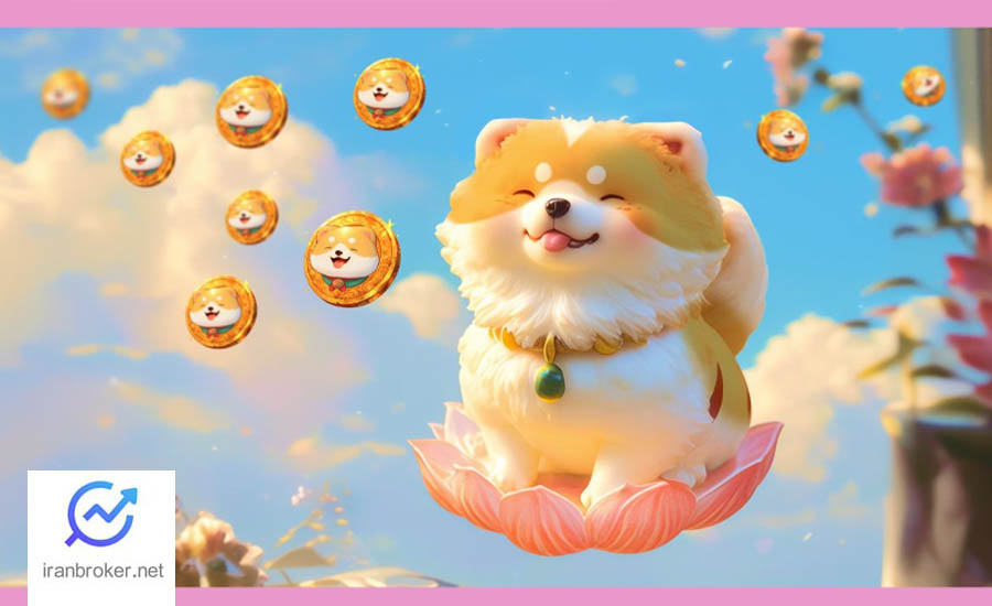 لاکی بو (Lucky Boo)