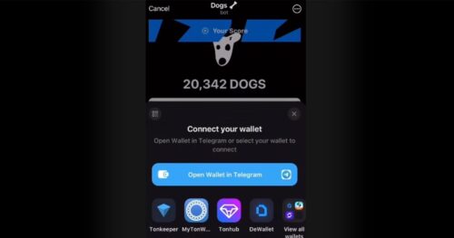 dogs 1