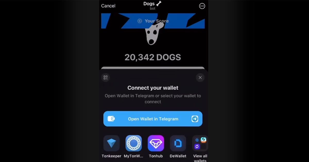 dogs 1