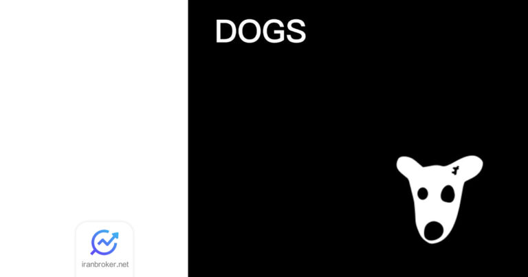 توکن داگز (DOGS) در صرافی های بای بیت و بینگ ایکس لیست می شود