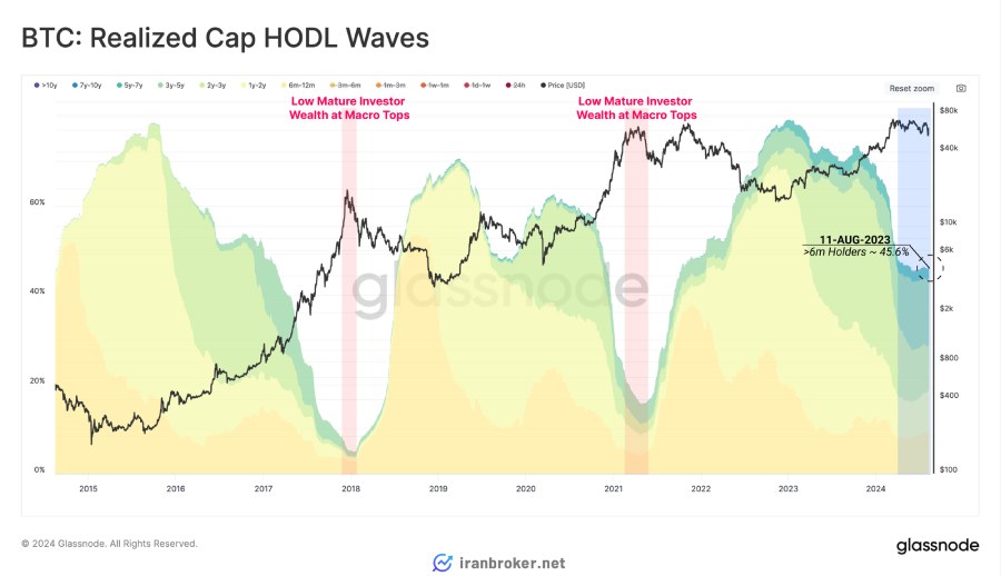 شاخص Realized Cap HODL Waves