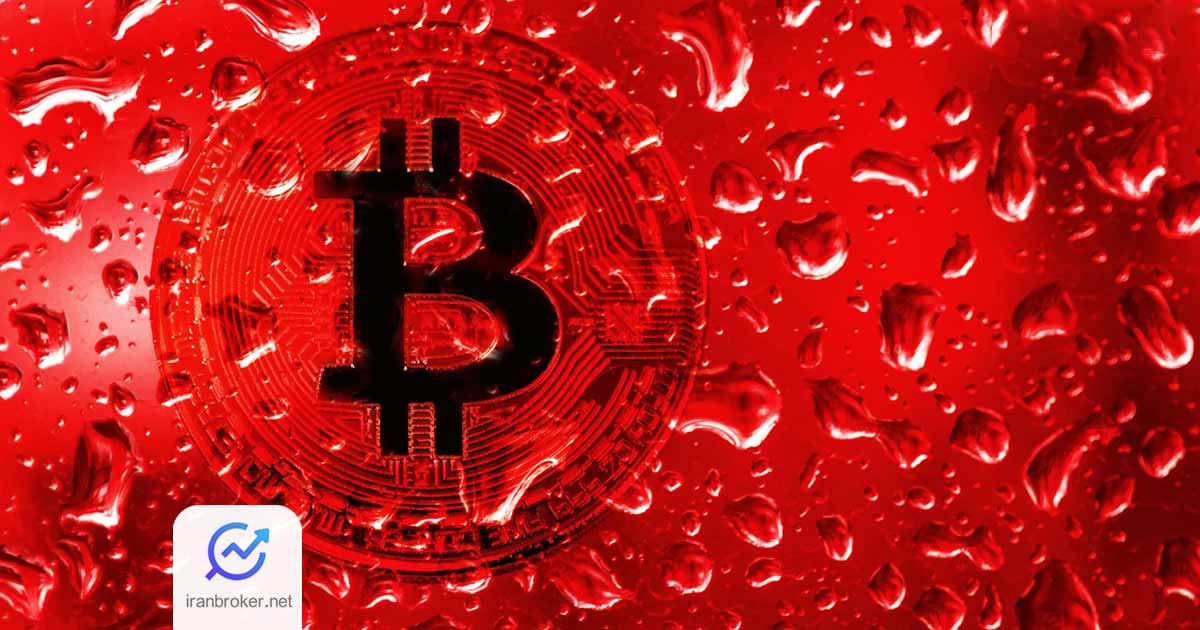 btc blood