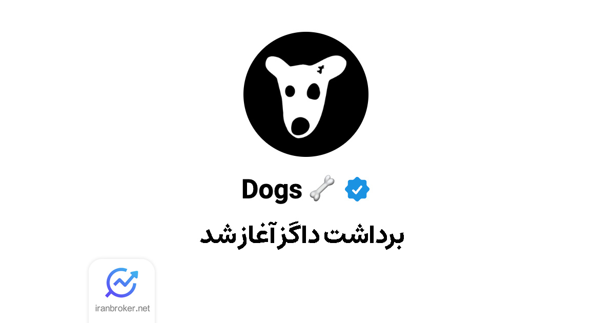 dogs 11