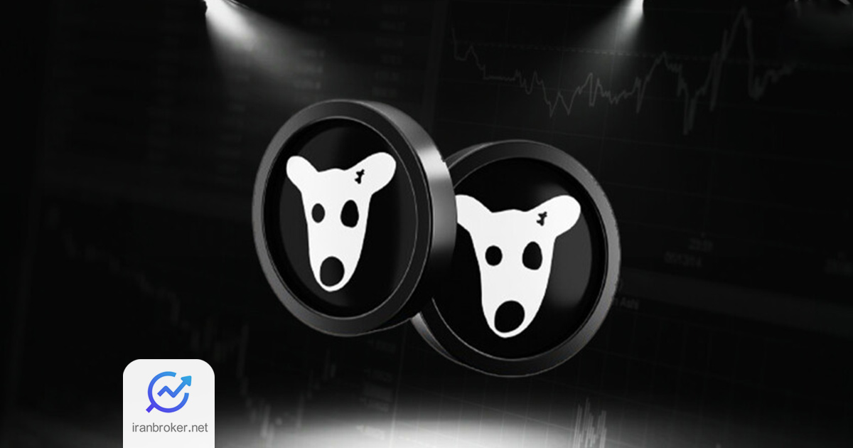 dogs 8