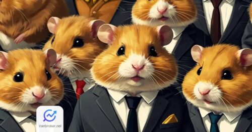 hamster 2