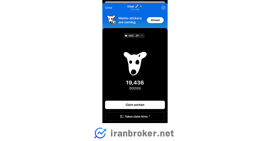 کلیم آنچین داگز