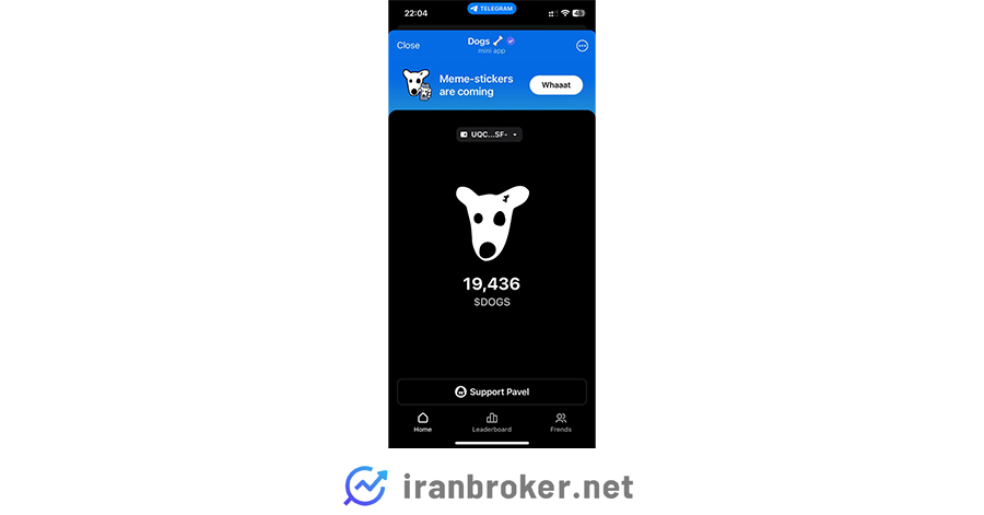 صفحه اصلی داگز