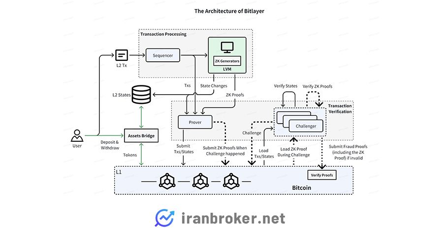 پردازش تراکنش در بیت لیر