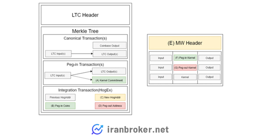 میمبل ویمبل در لایت کوین