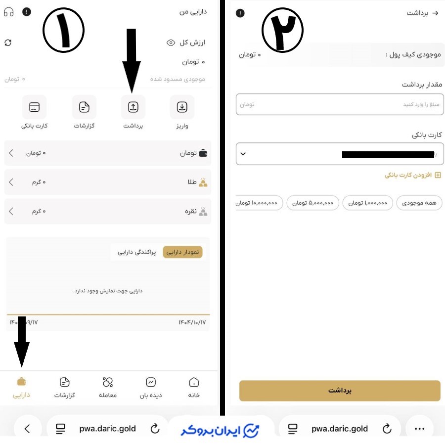 برداشت ریالی از پلتفرم داریک 