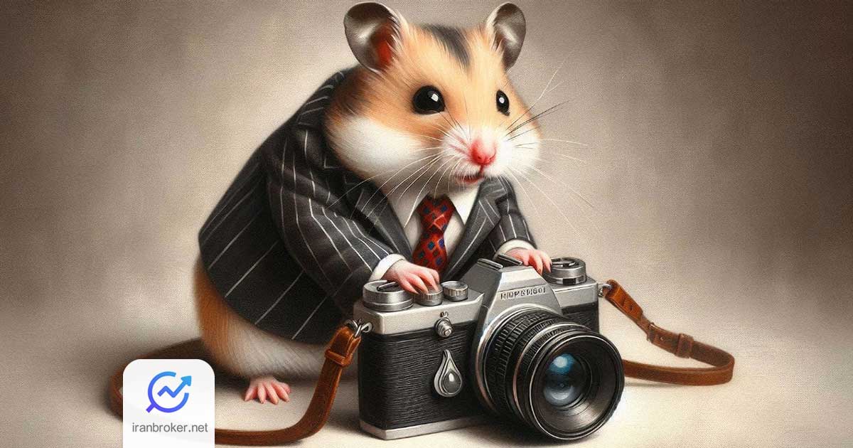 hamster