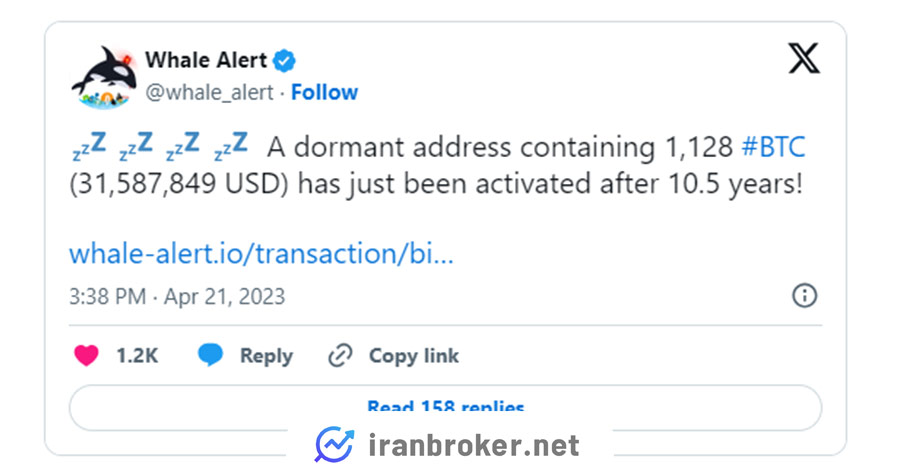 جابجایی نهنگها