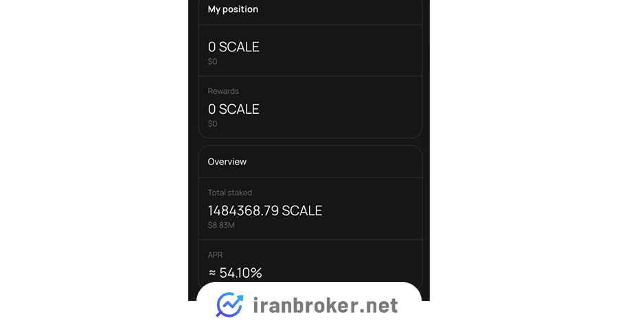 استیک دی داست