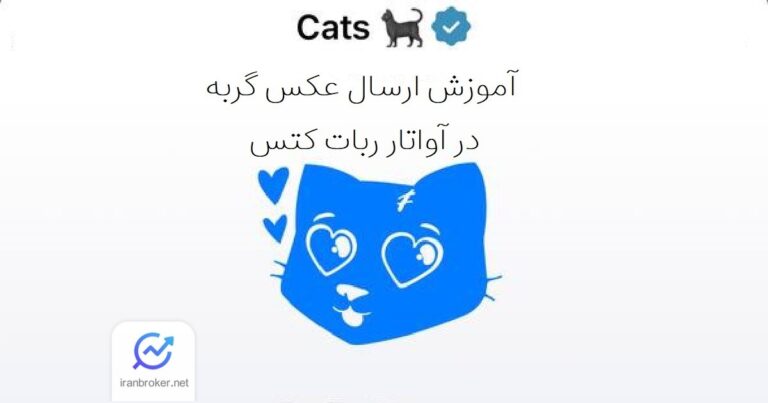 آموزش ارسال عکس گربه در ربات کتس | عکس گربه برای دریافت توکن CATS رایگان