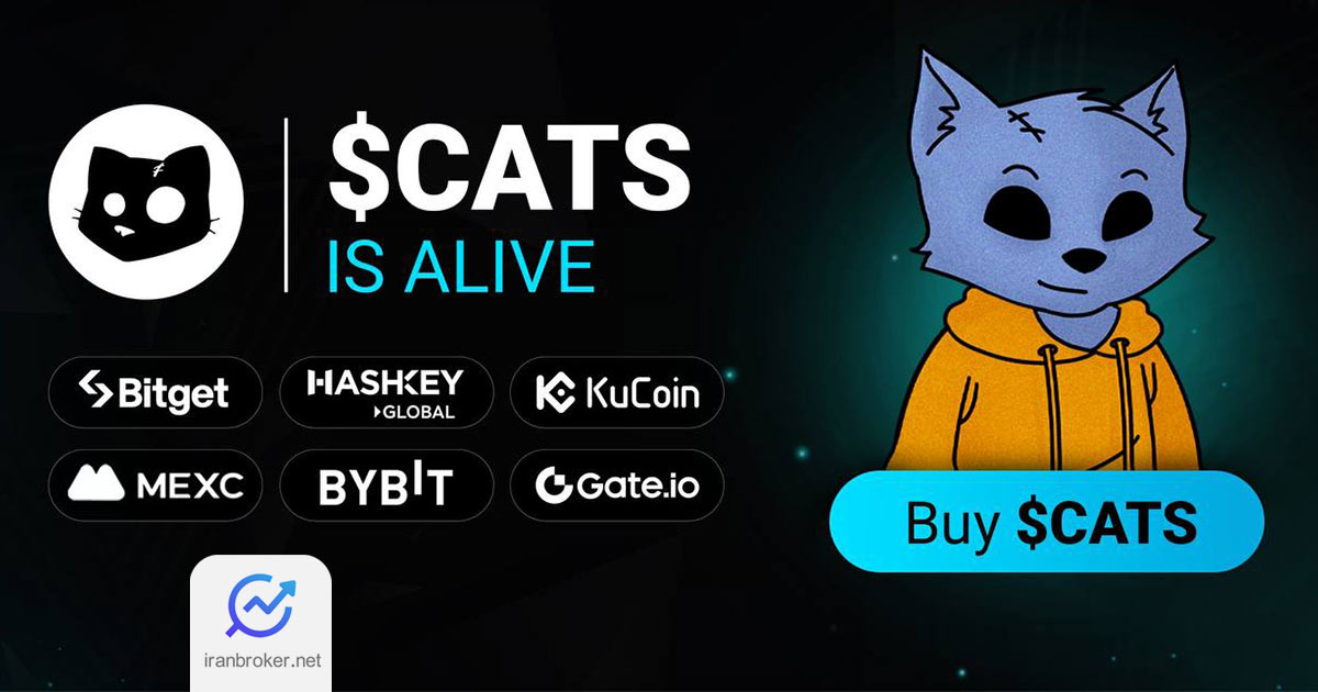 cats 4