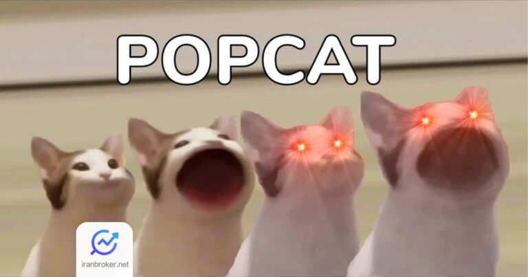 پیشتازی پاپ کت در میان میم‌ کوین‌ ها: POPCAT به رکورد تاریخی جدیدی رسید