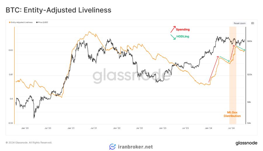 شاخص Liveliness