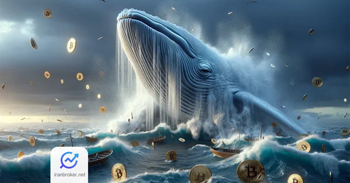 نهنگ بیت کوین