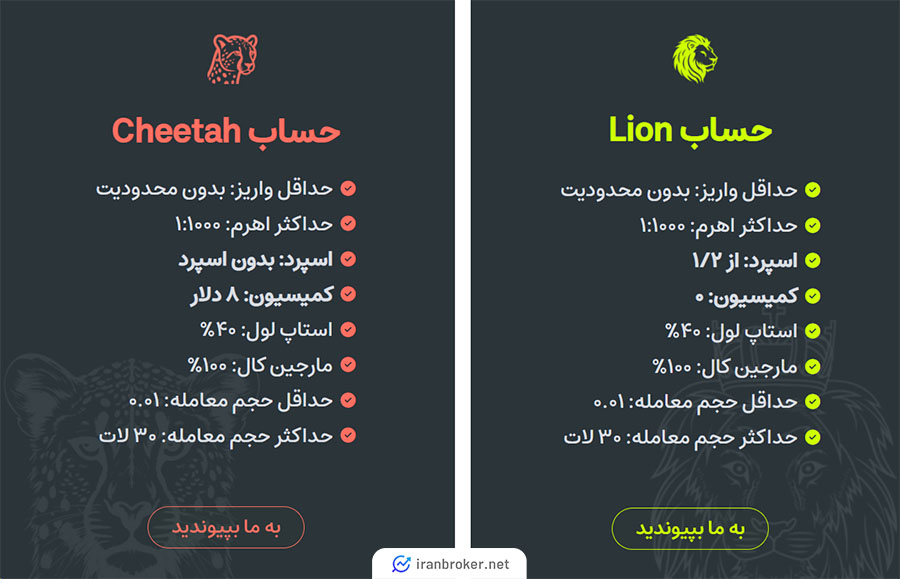 حساب های معاملاتی بروکر روکو