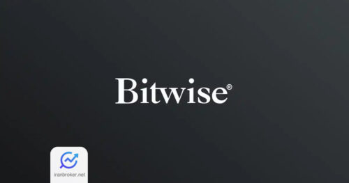 بیت وایز
