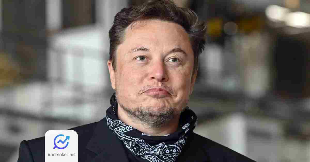elon