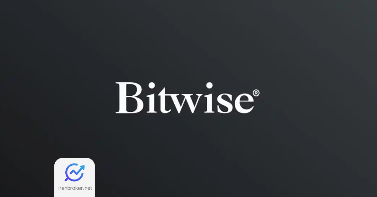 بیت وایز