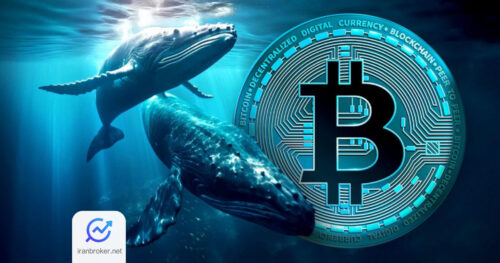 btc whale