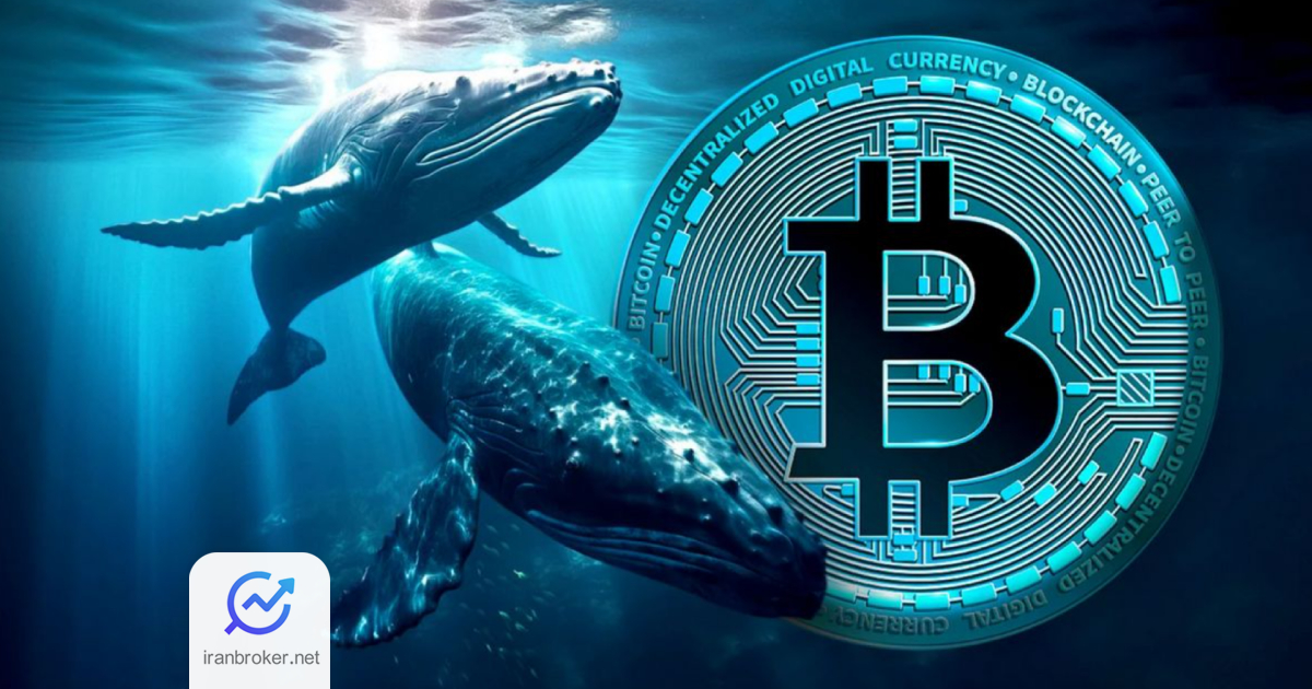 btc whale