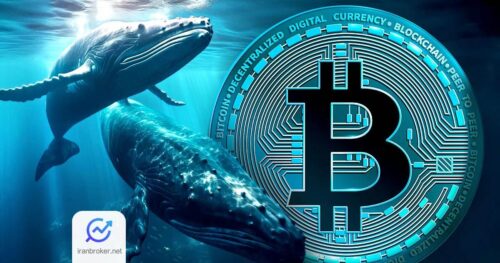 btc whales