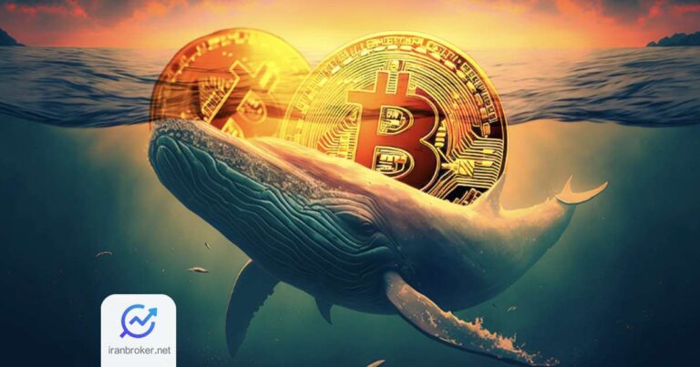 رکوردشکنی نهنگ‌ ها در خرید بیت‌ کوین؛ منتظر بیت کوین ۱۰۰ هزار دلاری باشیم؟