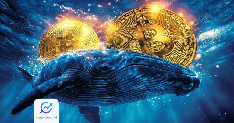 بیت‌ کوین زیر ذره‌بین نهنگ‌ ها! خرید های مشکوک شروع شد؟
