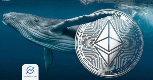 eth whales