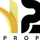 پراپ‌فرم ان پی ای