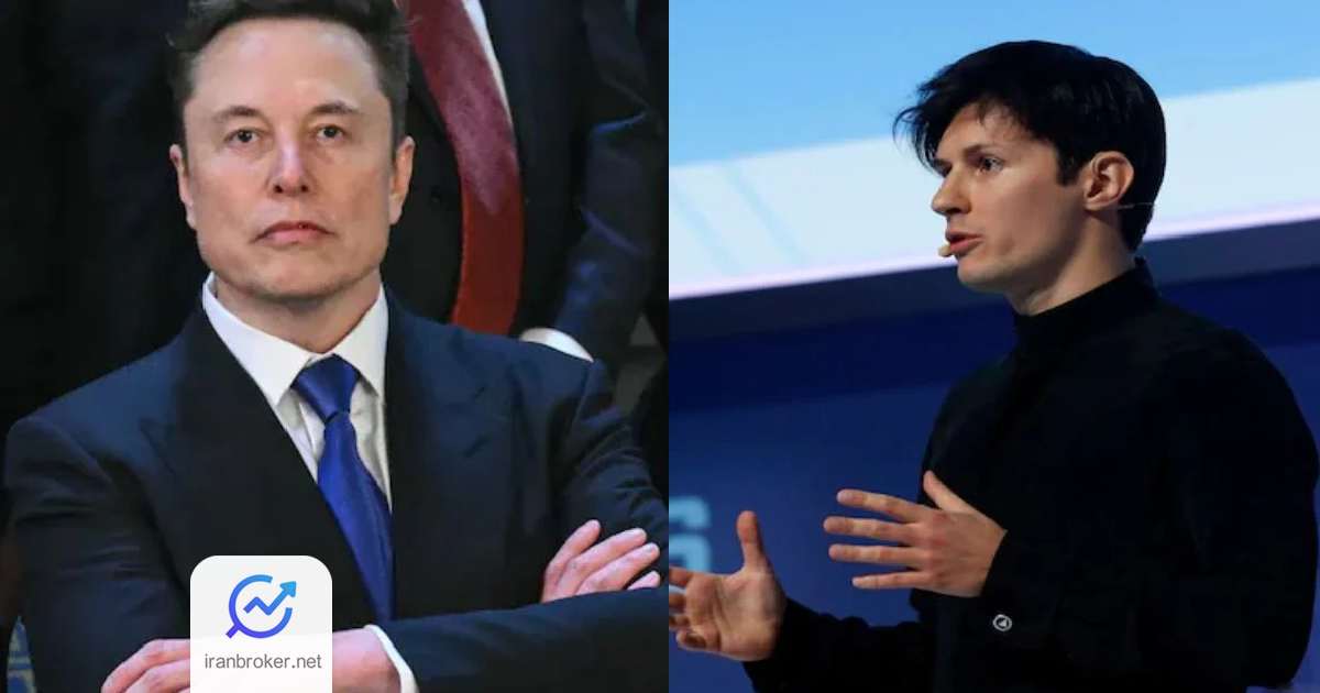 musk doruv