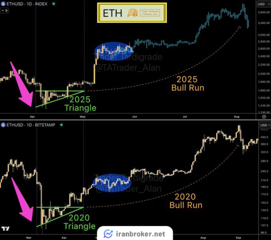 تحلیل Trader Tardigrade