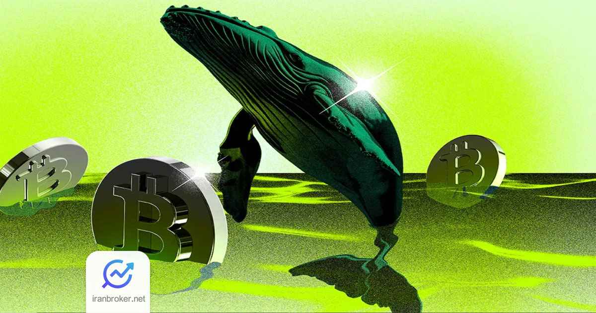 تحرک نهنگ های بیت کوین