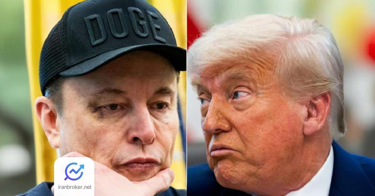trump elon