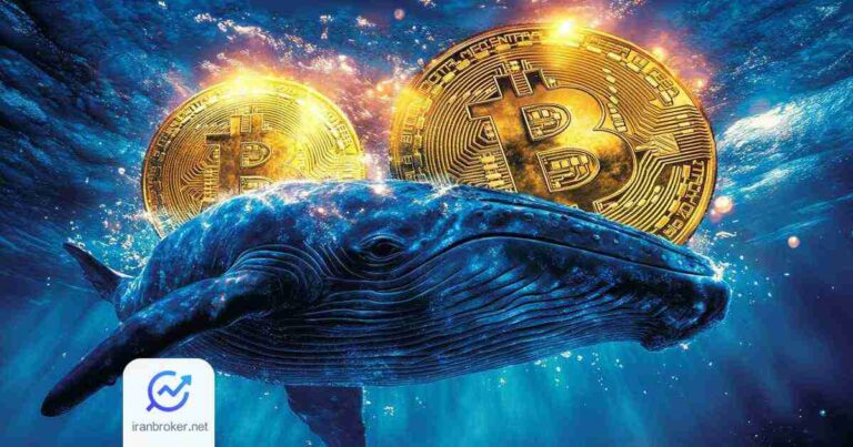 بازگشت نهنگ افسانه ای به بازار؛ معاملات سنگین جیمز وین روی بیت کوین و پپه