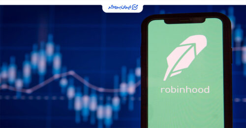 گزارش مالی رابینهود