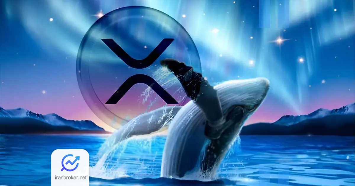 Xrp whales