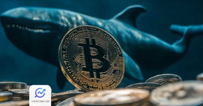 بیت‌ کوین روی موج نهنگ‌ها؛ قیمت BTC دوباره به ۱۲۰ هزار دلار رسید!