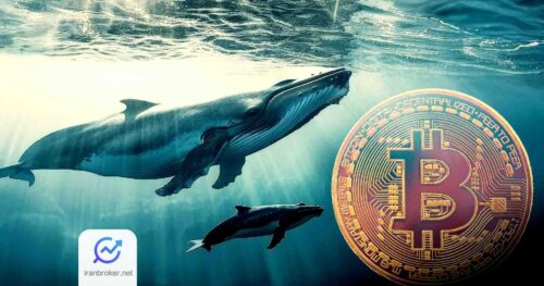 btc whale 1