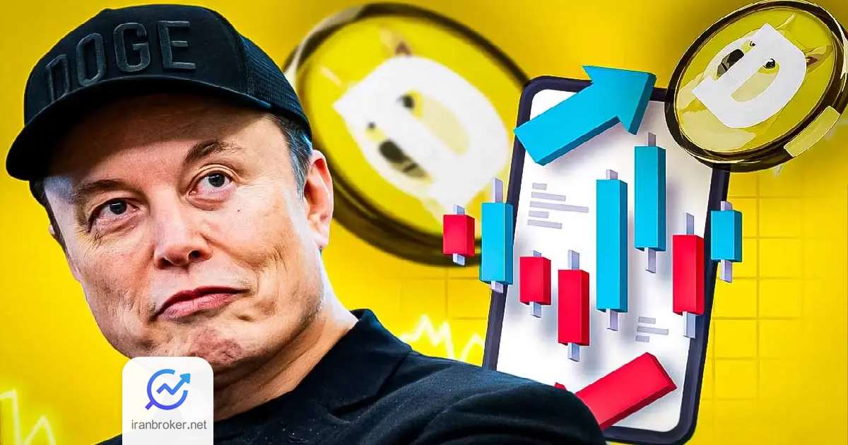 elon doge