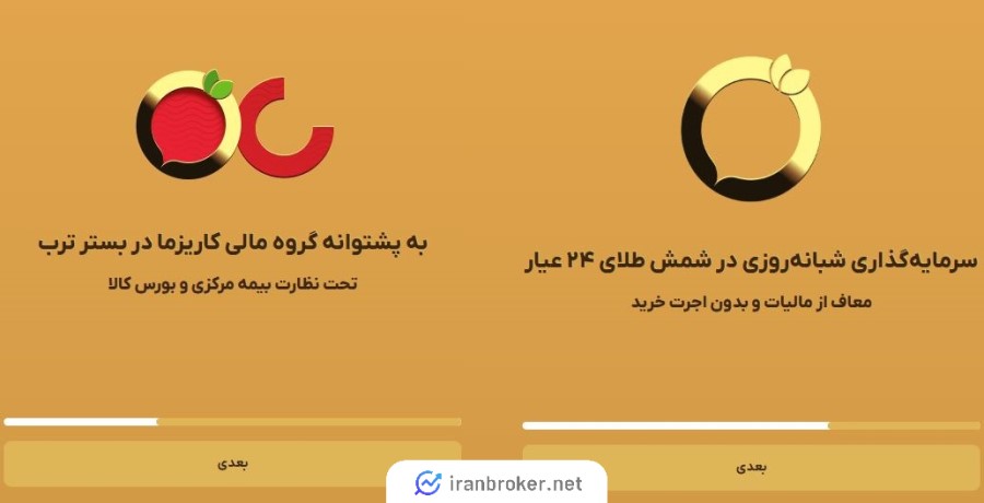 ترب گلد چیست