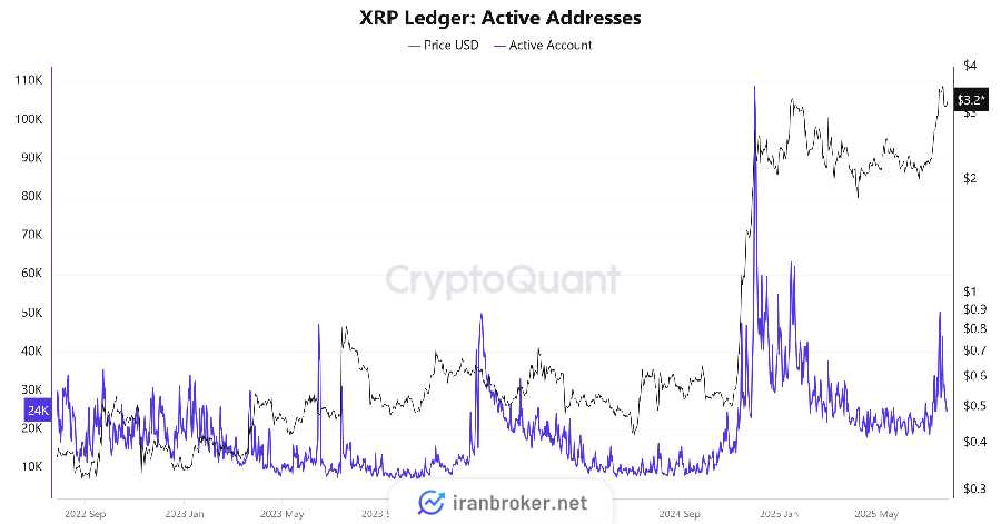 xrp users decline