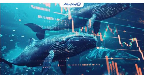 4 whales