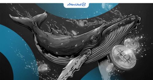 خرید و فروش هولدر قدیمی بیت کوین